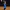 Tennis player reaches to sky and falls to knees after winning a match in the ATP 500 series