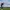 Golfer takes shot during the Alfred Dunhill Links Championship