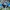 Two players tackle in Australia Cup