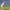 Golfer performs a putt at the Blue Bay LPGA