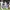 Borussia Monchengladbach players dribbling the ball in the Bundesliga