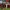 Golfer takes tee shot at China Junior Golf Program