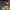Eredivisie-Image-1-