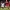 FA-Cup-Image-2