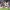 Rugby League Commercial to deliver personalized fan experiences through new partnership with Simon Data and Iterable
