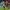 GettyImages-2185248656-scaled