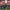 Inter-header