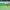 LK1_6145-opq477251885-scaled