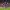 LaLiga-Image-3