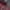 Liverpool-Header