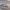 NASCAR-header-