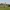 Golfer on the fairway in red shirt at the PIF Saudi International