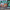Pic-for-websire