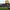 The-Open-–-header-