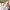 Dobble Bundesliga