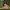 millie-bobby-brown-florence-by-mills-january-2022-part-ii-1